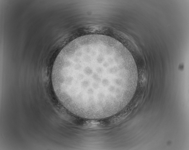 X0000116460607201001201302