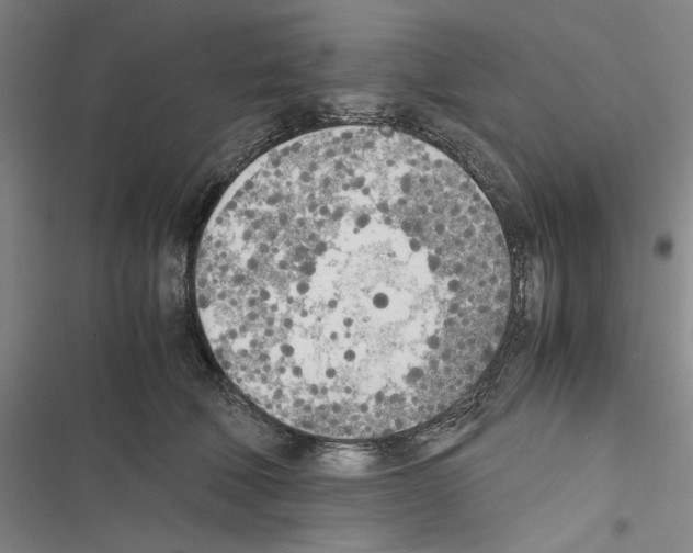 X0000116460610201001201302