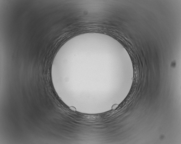 X0000116460611201001201301