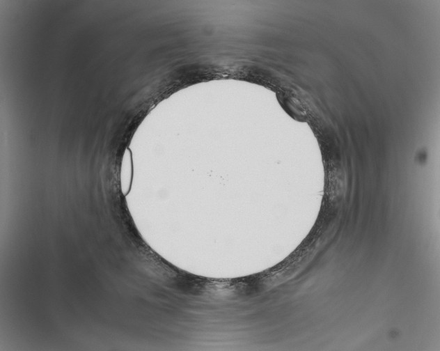 X0000116460613201001201301