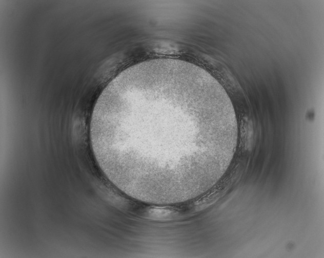 X0000116460614201001201301