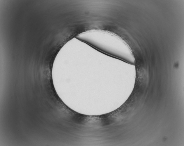 X0000116460617201001201301
