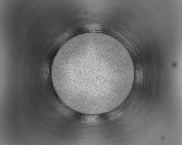 X0000116460618201001201301