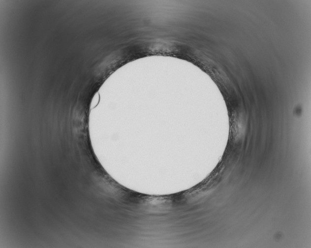 X0000116460619201001201301