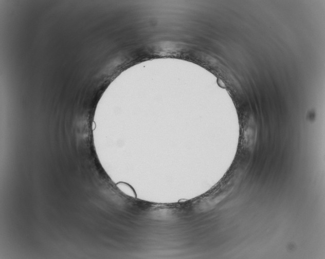 X0000116460620201001201301