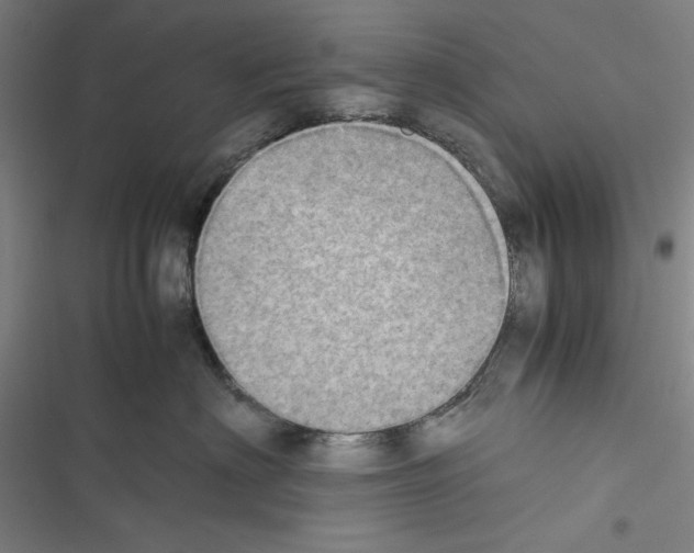 X0000116460622201001201301