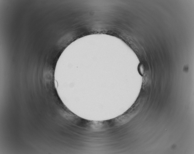 X0000116460623201001201301
