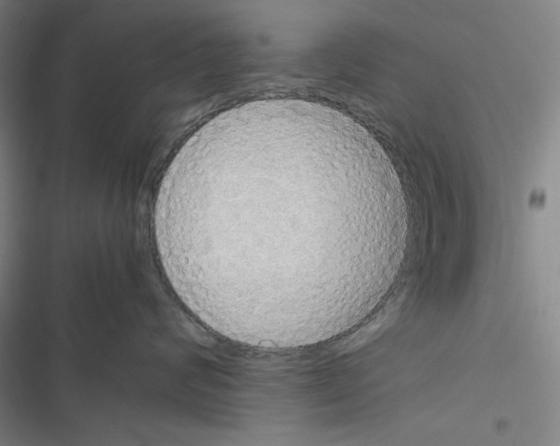 X0000116460624201001201301