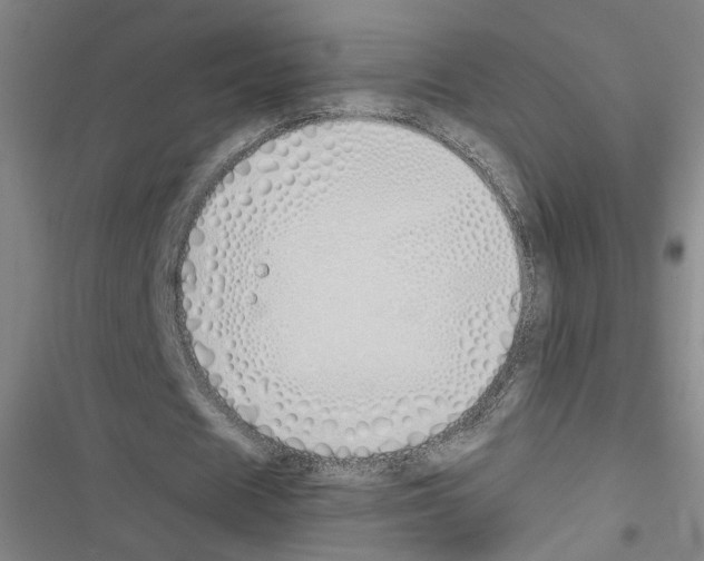 X0000116460625201001201301