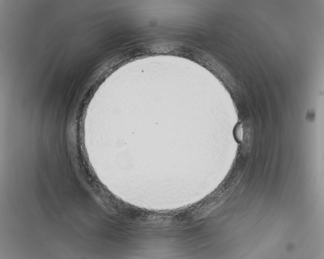 X0000116460626201001201301