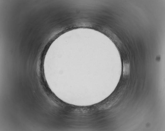 X0000116460627201001201301