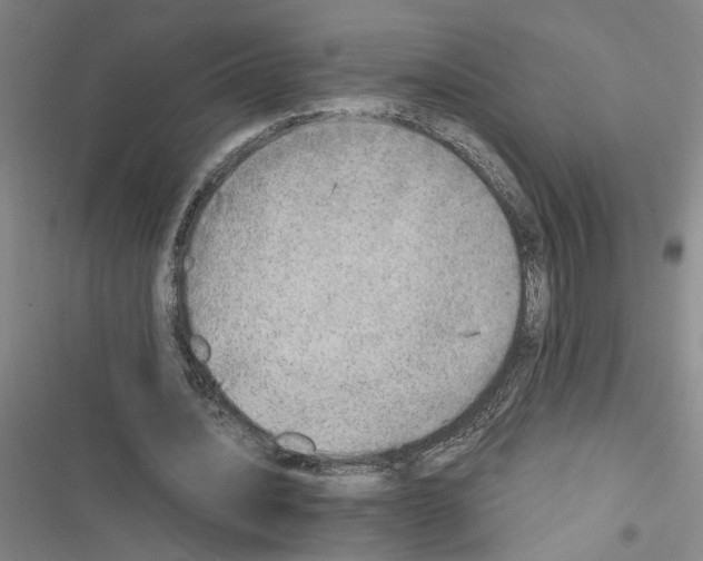 X0000116460628201001201301