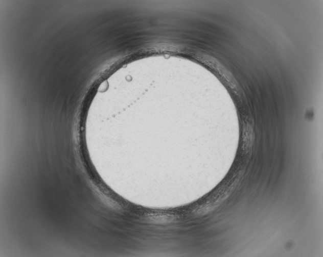 X0000116460629201001201301