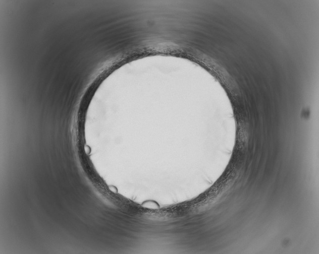 X0000116460630201001201301