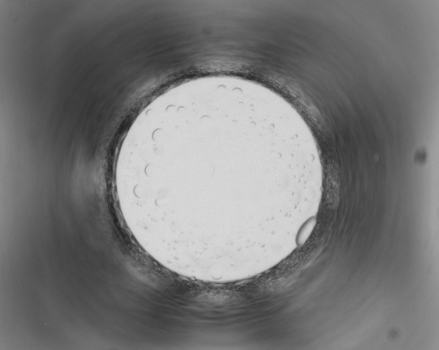 X0000116460631201001201301