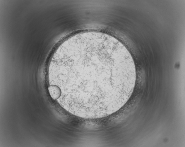 X0000116460632201001201301