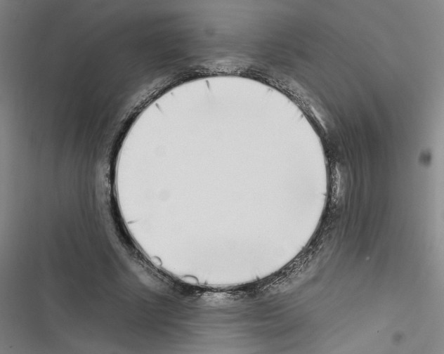 X0000116460634201001201301