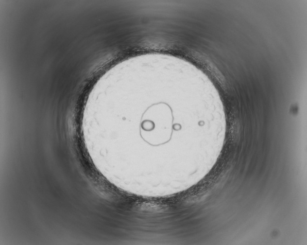X0000116460635201001201301