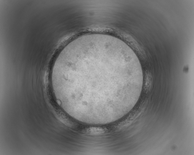 X0000116460636201001201301