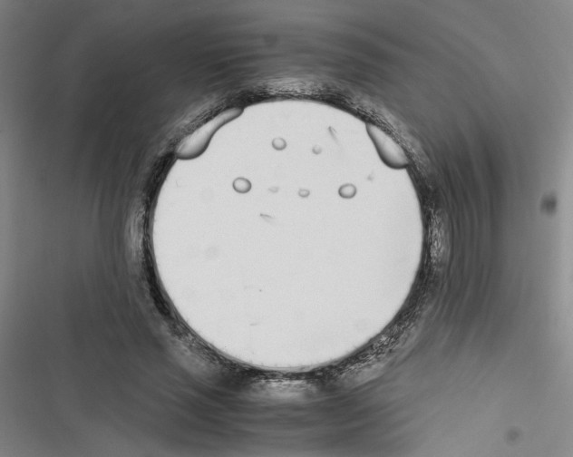 X0000116460637201001201301