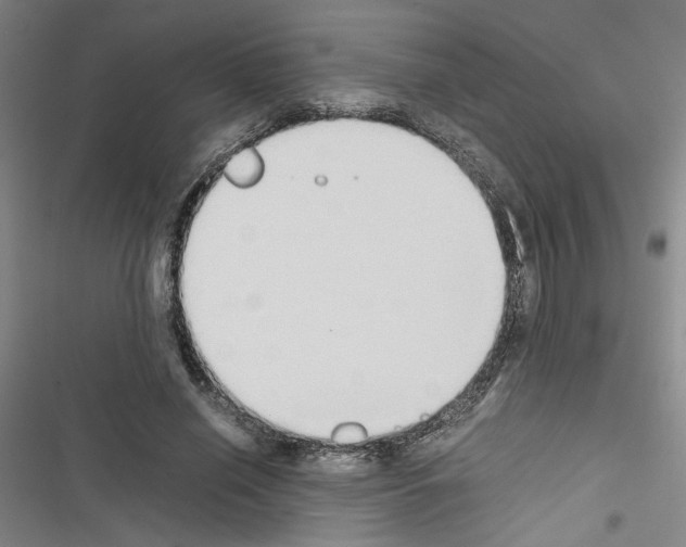 X0000116460638201001201301