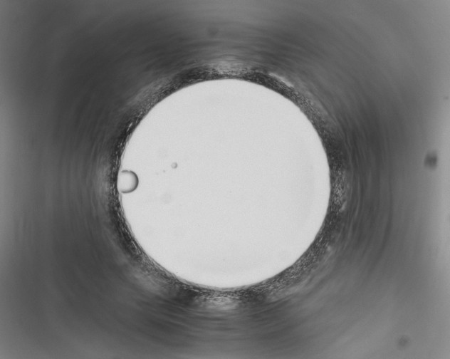 X0000116460639201001201301