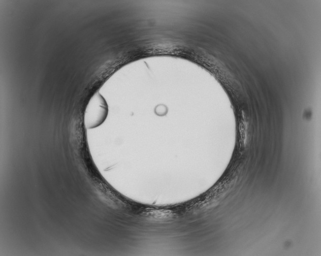 X0000116460642201001201301