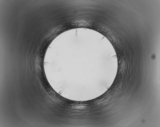 X0000116460643201001201301