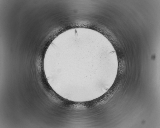 X0000116460644201001201301