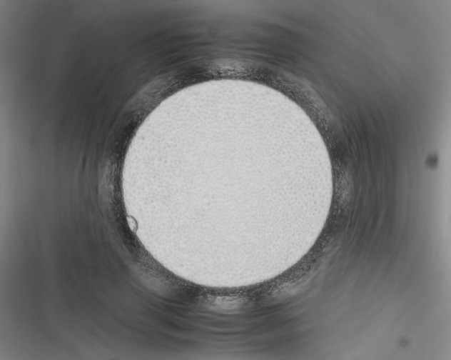 X0000116460645201001201301