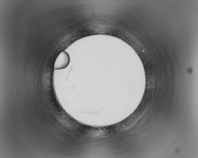X0000116460646201001201301