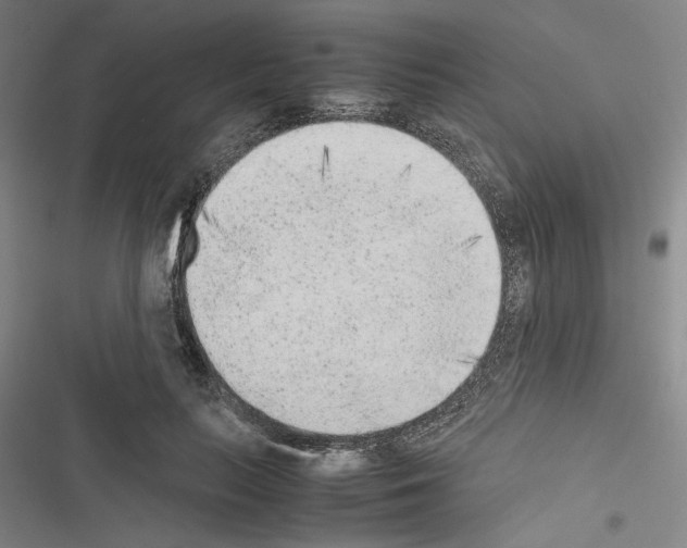 X0000116460647201001201301