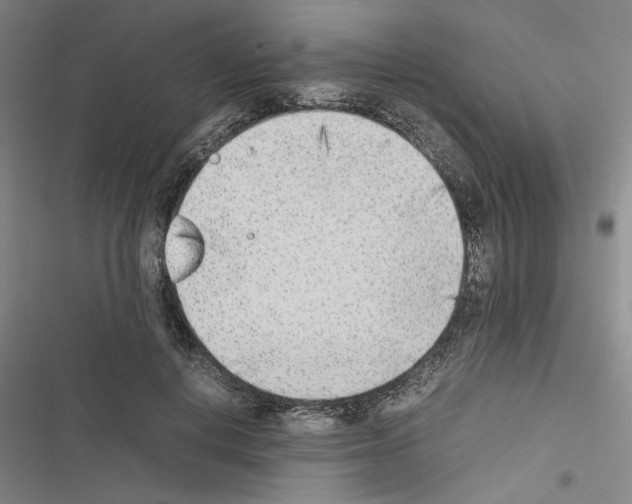 X0000116460648201001201301