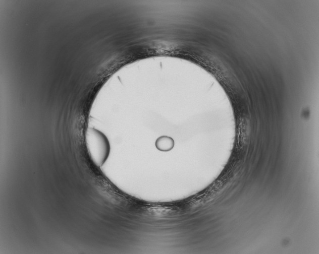 X0000116460650201001201301