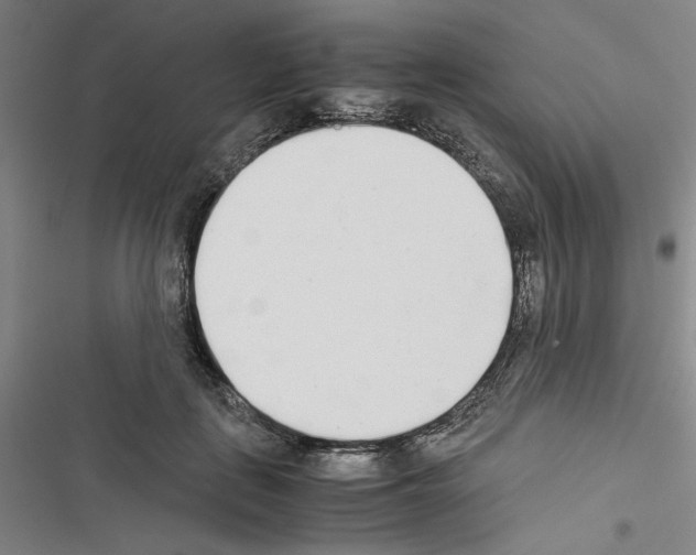 X0000116460651201001201301