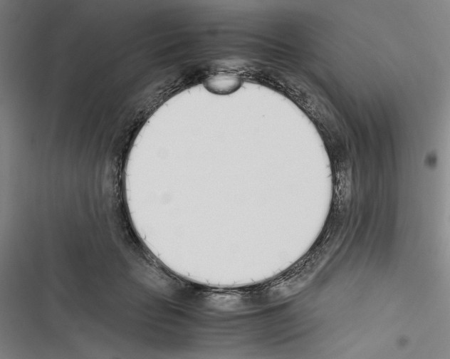 X0000116460653201001201301