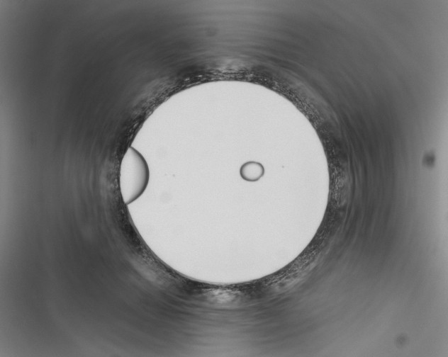 X0000116460654201001201301