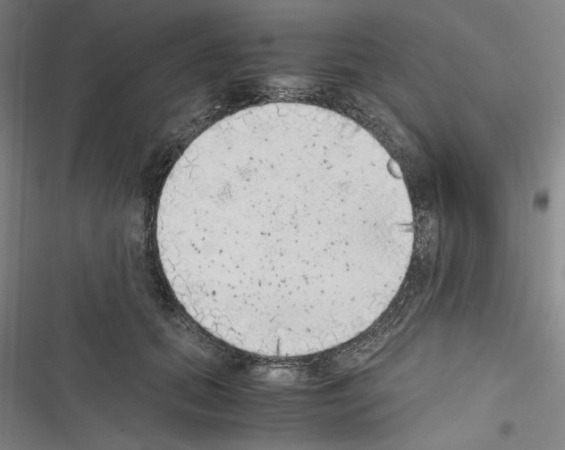 X0000116460655201001201301
