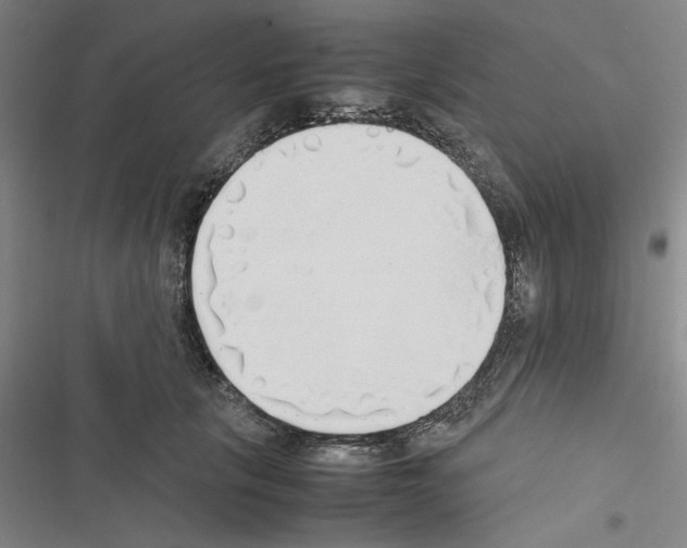 X0000116460657201001201301
