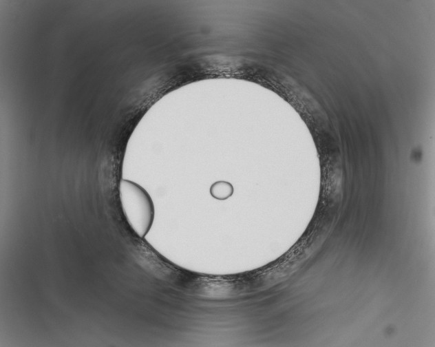 X0000116460658201001201301