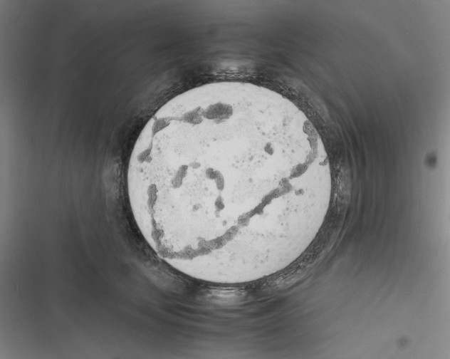 X0000116460659201001201301