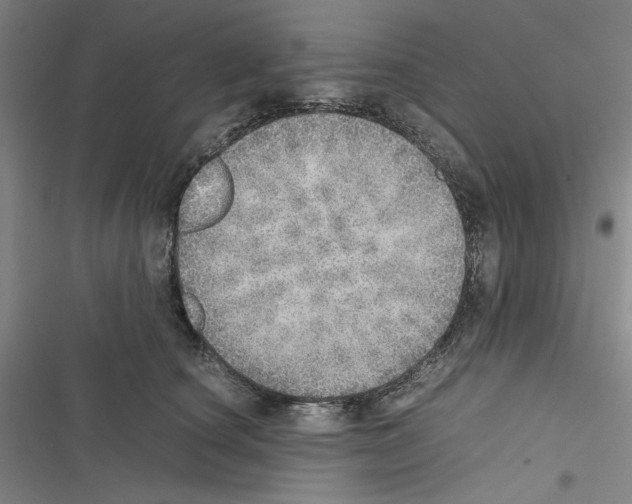 X0000116460660201001201301