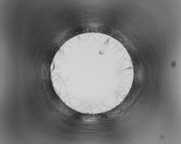 X0000116460661201001201301