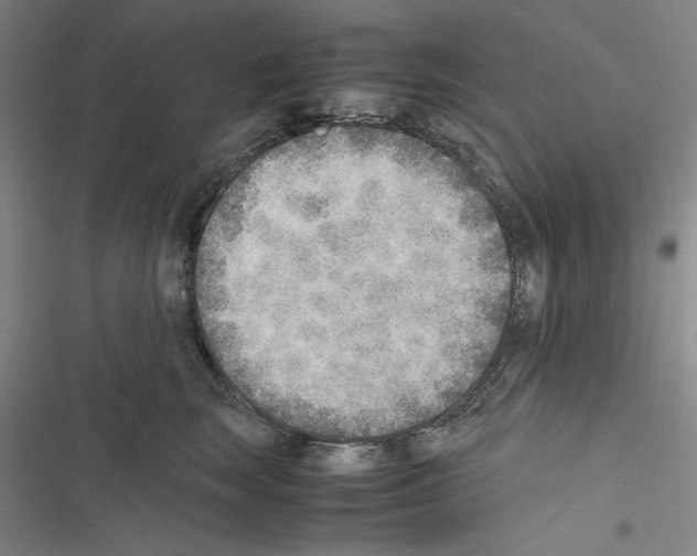 X0000116460663201001201301