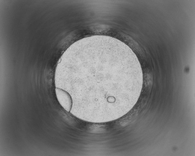 X0000116460664201001201301