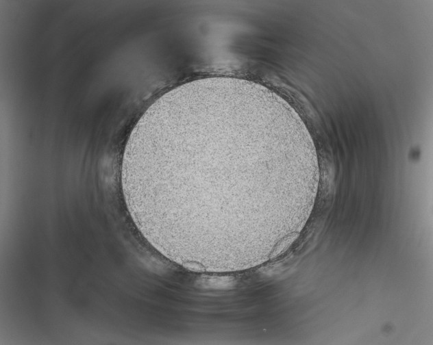 X0000116460665201001201301