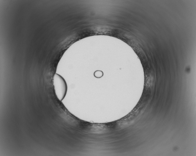 X0000116460666201001201301