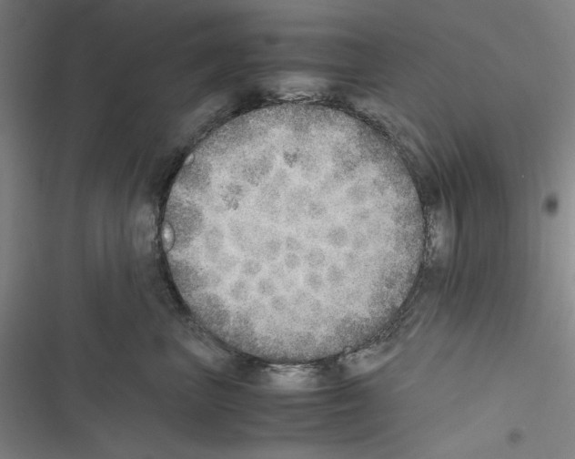 X0000116460667201001201301