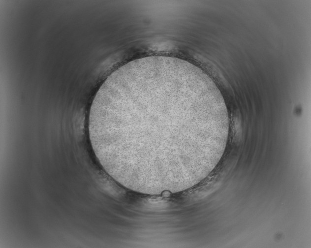 X0000116460668201001201301