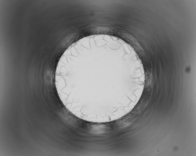 X0000116460669201001201301